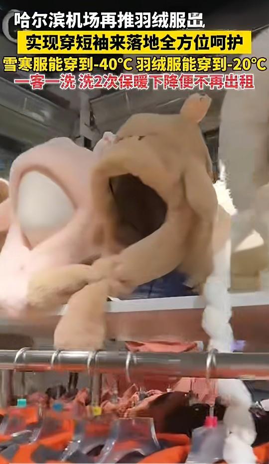 落地就穿暖，哈尔滨太懂了！