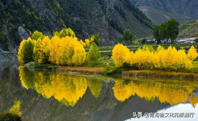 海北的秋天，每一步都是心动的自然交响