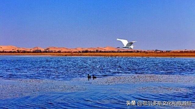 美到失语！秋天的七星湖，是上帝打翻的调色盘