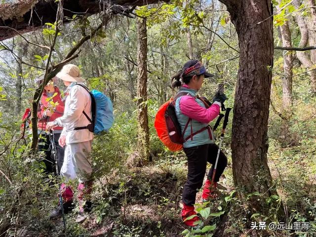 周末徒步,走昆明嵩明的灵云山,游法界寺、走森林步道,休闲惬意