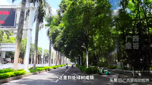 走了一趟南宁民族大道之后，我要向南宁道个歉：我以前低估你了！