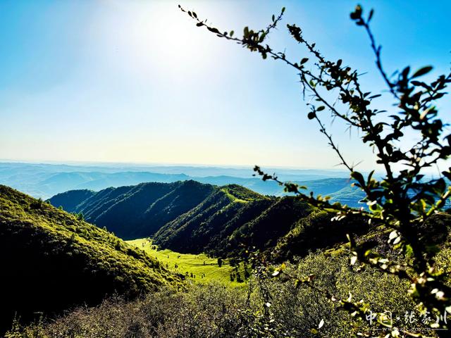 张家川县闫家乡秋日山间的鎏金时光