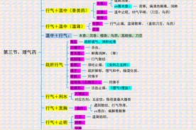 《中药学》 7.理气药图片
