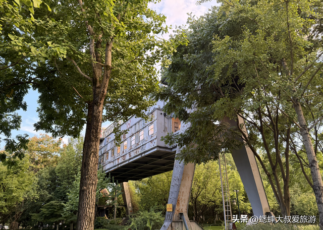 这个杭州秋日浪漫公园真一眼心动，有火车加成，地铁直达且免费！