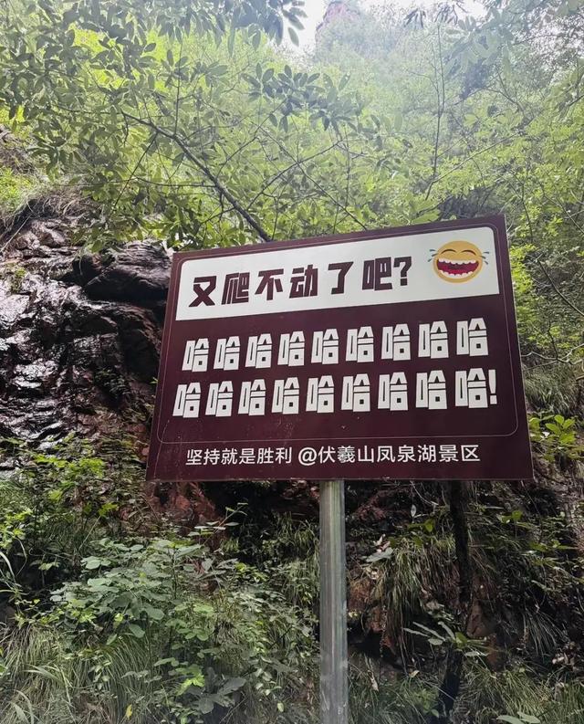 游客爬嵩山遇到魔性“加油”牌：爬不动了吧，哈哈哈哈哈……，瞬间来劲儿爬到山顶