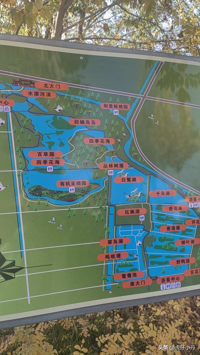 哇塞！新疆南北疆公路通车大揭秘🚗机遇挑战全知道！