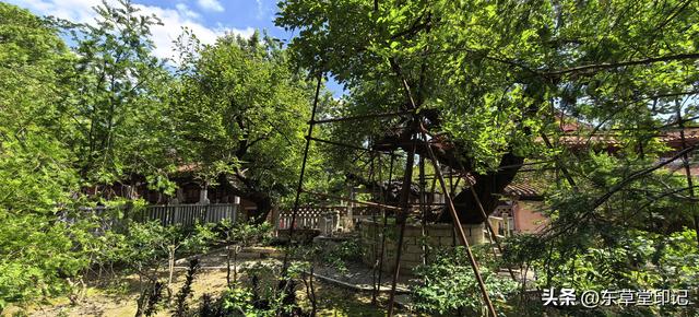 泉州开元寺：一座古寺藏尽千年海丝风华，一场穿越时空的文化盛宴