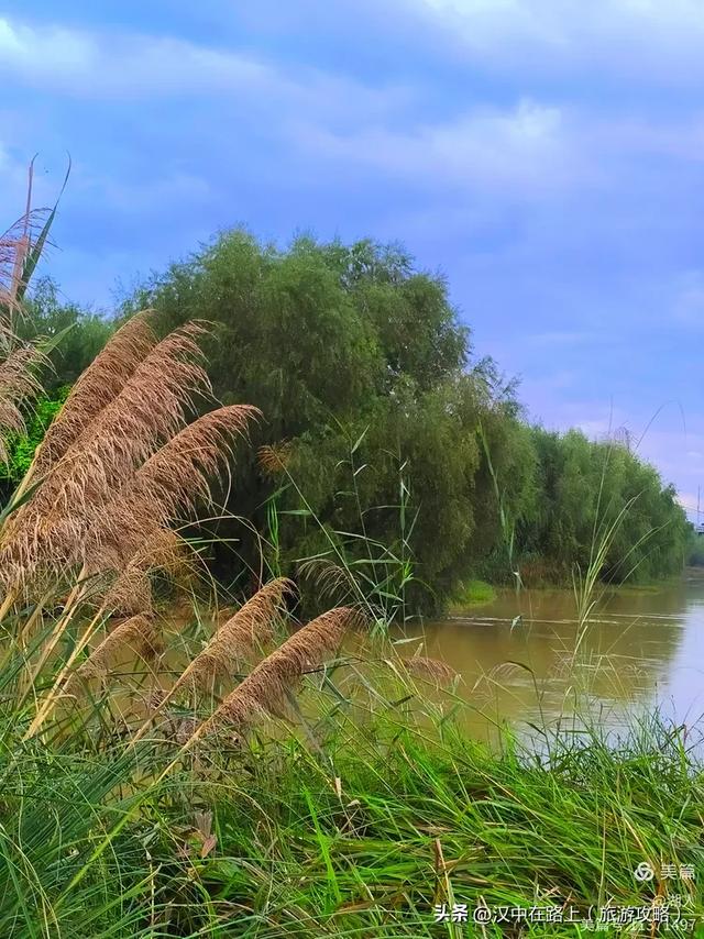 秋雨中的汉中湿地