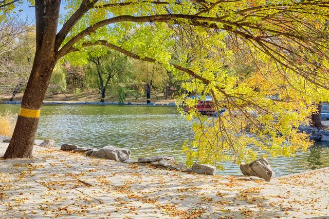 北京圆明园秋色，金风拂残垣，静品岁月，赴一场秋韵时空之约