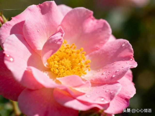 两性关系：60多岁的阿姨们坦言	，女人找老伴，最大的需求是这一点