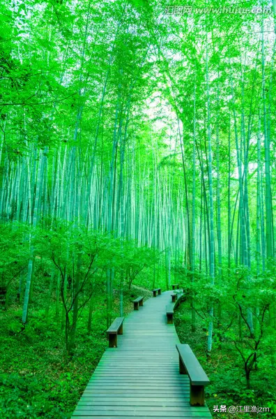 感受广州的风：千年商都的灵动呼吸