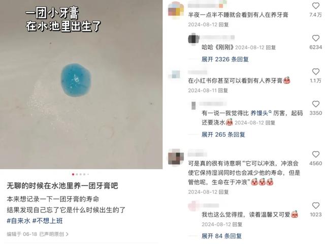 小红书，普通人的奇遇之地
