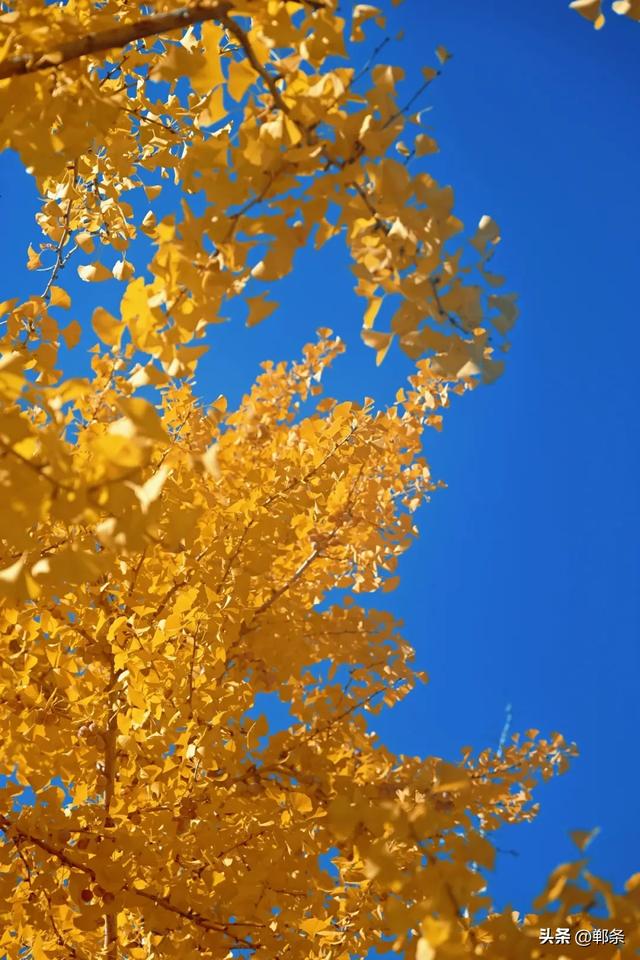 武安洺湖的初冬超治愈