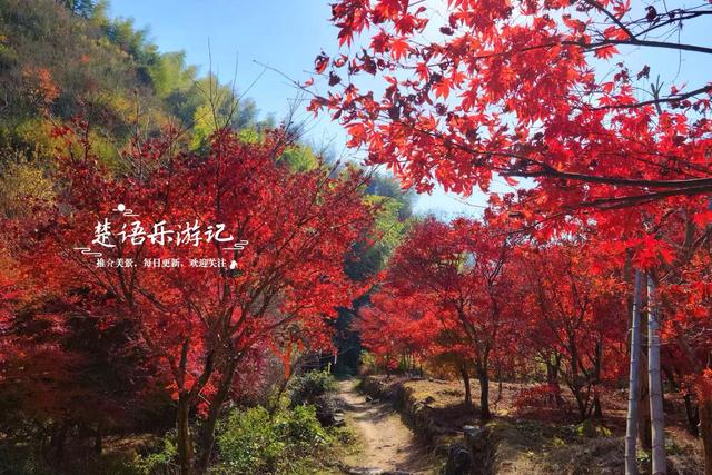 浙江宁波这两条古道堪称黄金组合，景色比油画还要美，游玩正当时