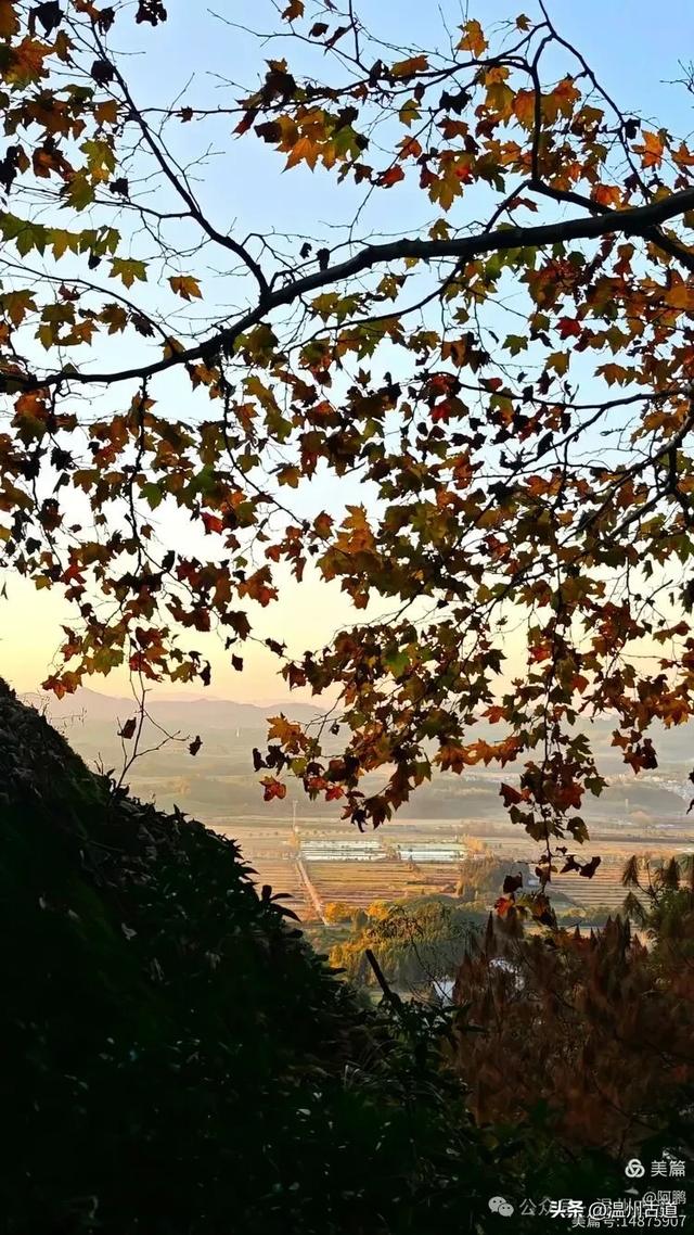 浙处丹霞地貌秋色斑斓超壮观，秋日必打卡之地！