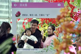 【2024爱沈阳·春天花正开】清明假期想出游你的线路你定义图片