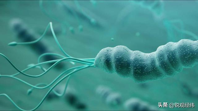 不靠马达齿轮照样动！普林斯顿大学的“元机器人”，设计刷新认知