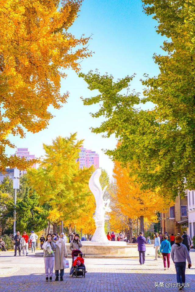 错过等一年~这个周末来这些免费打卡点，拍落叶