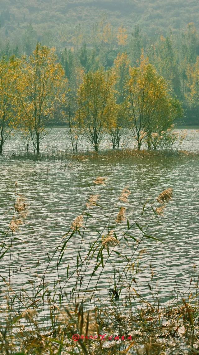 宿州私藏了个“小九寨沟”！就在萧县官桥镇，美到犯规！