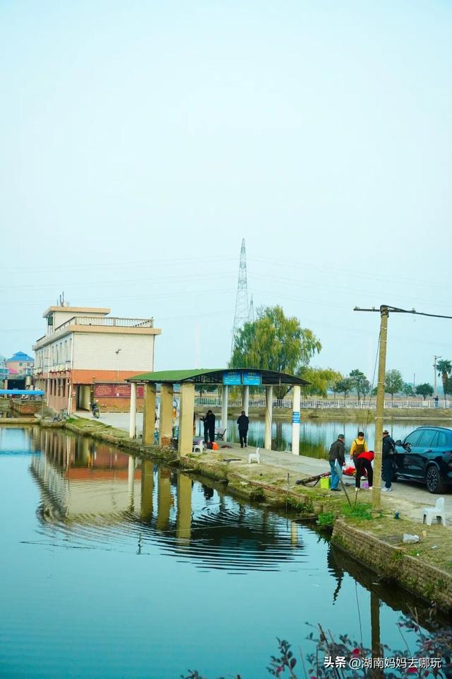 0.5H直达长株潭私藏“小白洋淀”，荻花摇曳处解锁老船厂遛娃秘境！
