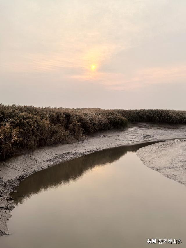 2025辽宁赏秋之旅日记(6)——到辽河口中国最北海岸线看日出 观鸟