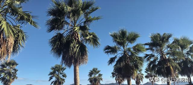 这里不是三亚却有着海南的风格，景点不大但很出片