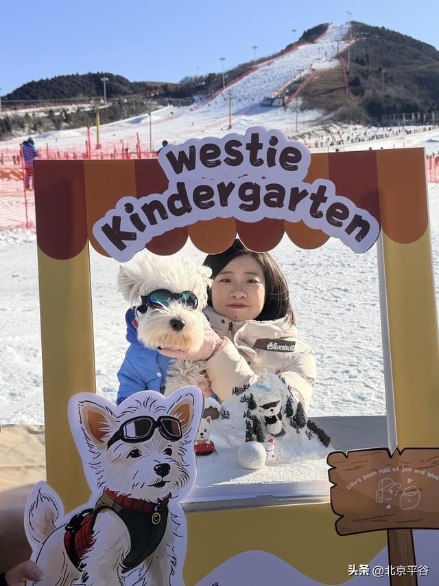 全域冰雪+萌宠逐雪+千万补贴平谷区第十七届冰雪季开幕 打造京津冀文旅休闲新地标