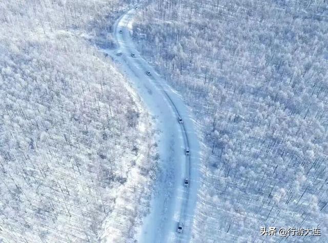 大东北组局了！冬日天团，出道！