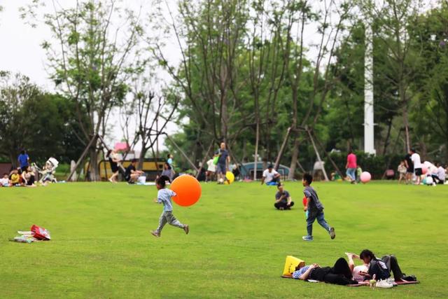 成都出发最快0.5h，山林湖岛间露营烧烤，野趣又好玩！
