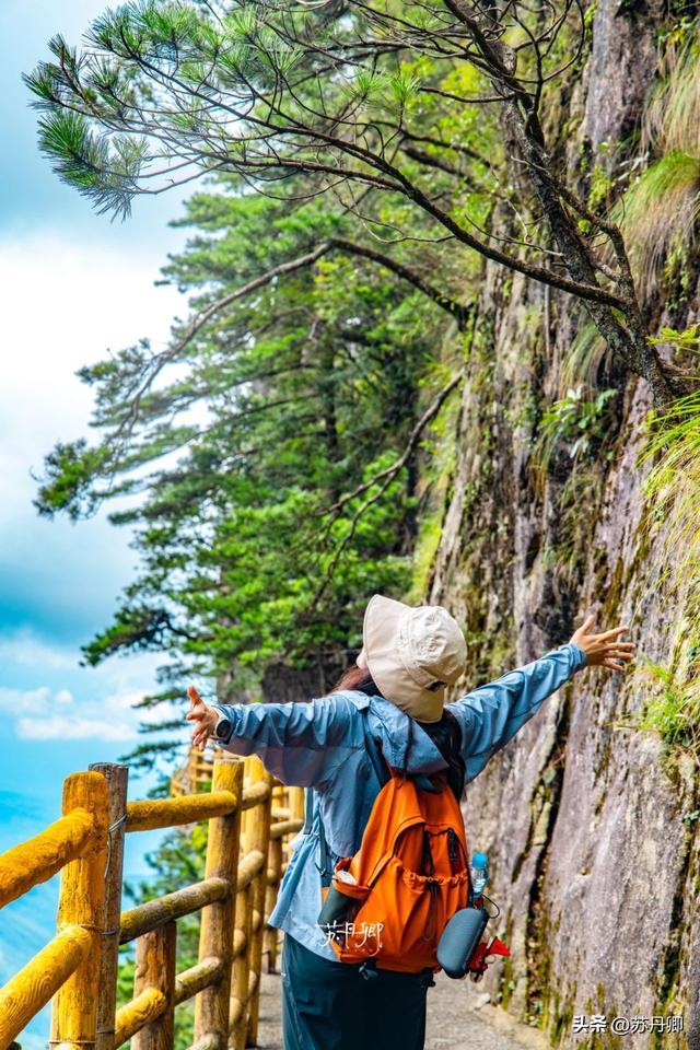 江西文旅为什么不宣传明月山？藏有世界罕见温泉，还有千年古银杏