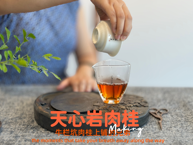 什么水泡茶好喝？自来水、纯净水、山泉水，一次性说清楚