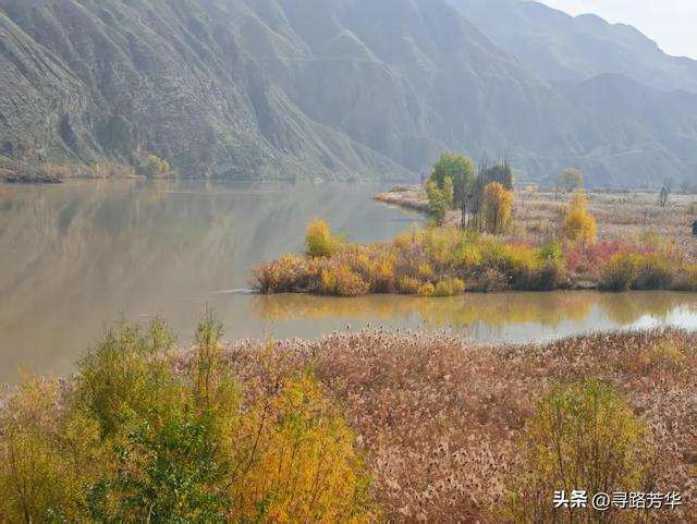 秋日行走在刘家峡的田野,竟有点点意外的收获