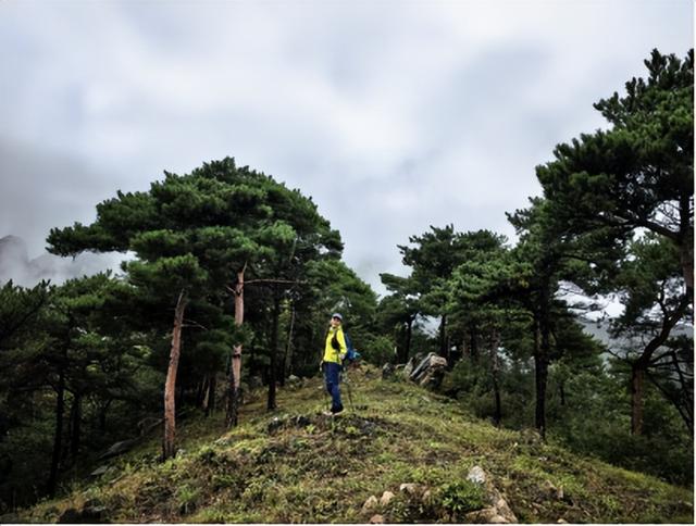 驴行信记：再攀“磨山顶”