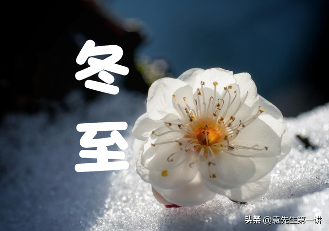 明日冬至是“忌日”，记得：1不泡、2不动、3不开、4要数、5要吃