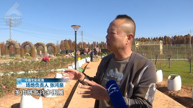 15米孔雀花雕亮相，七彩花海即将开放→