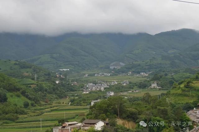 生活里的永平味道｜花桥“旅居小院”有历史有故事有温度