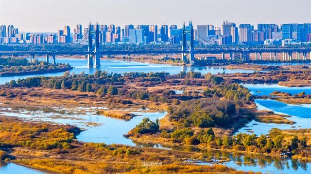 这样的哈尔滨，你见过吗？