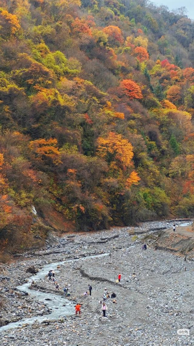 正式通车！全线免费！新挖赏秋天花板小城，绝美彩林不输九寨！地道美食50元吃爽！