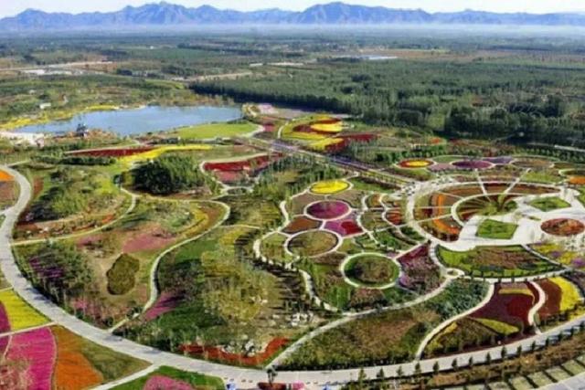 北京顺义国际鲜花港 梦幻的花海秘境