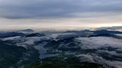 石斛是哪里产的最好 2026年石斛哪里产的最好最正宗