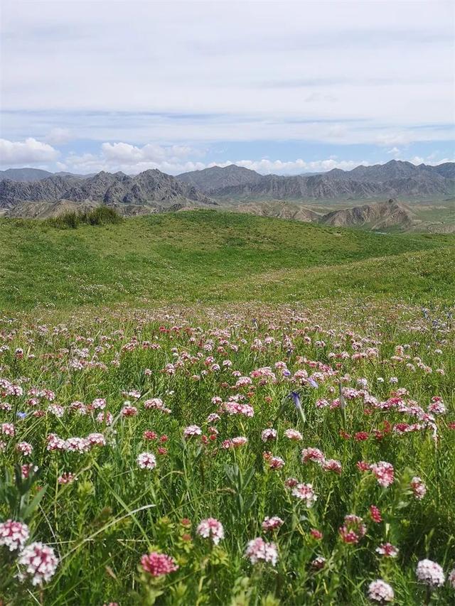 8月旅行地推荐！这10处目的地正过22℃无蚊夏天，还是全年最美！