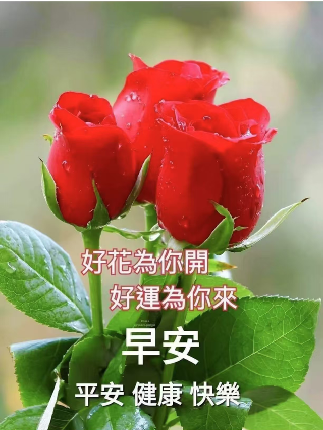 每日100句吉祥祝福语，最美的问候语大全，祝福朋友们快乐吉祥