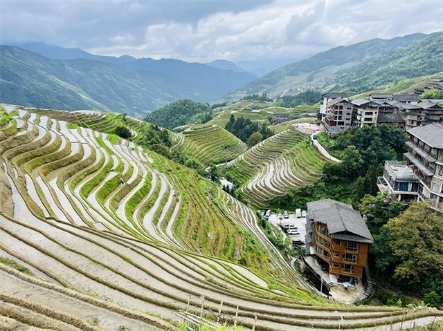 旅游避坑指南