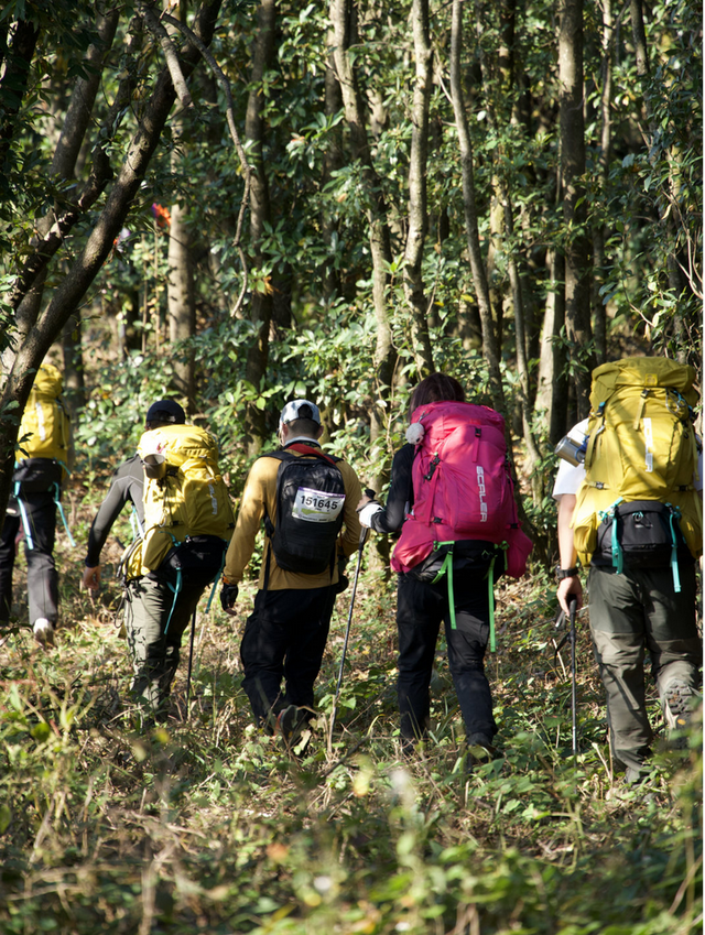 以脚步开启新年，用身心对话自然：徽黄之路2026跨年徒步盛典即将启幕