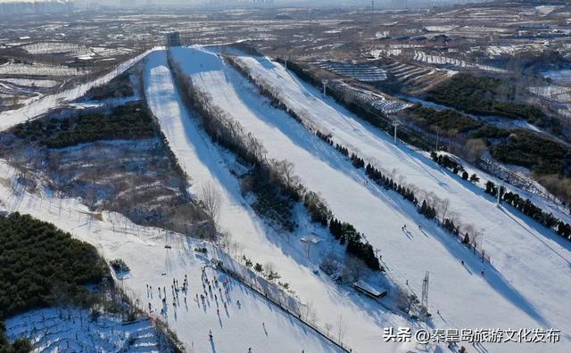 秦皇岛这个滑雪场正式开业啦,灯光夜场同步开放!