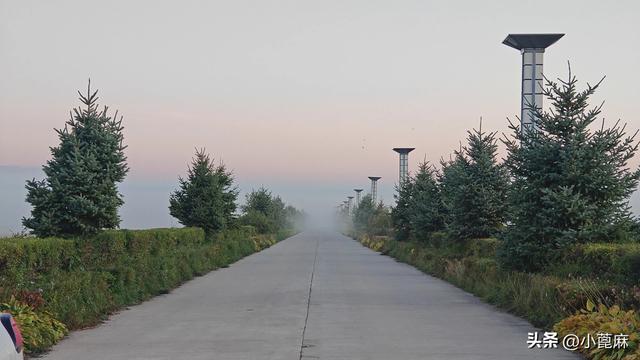 2025我的寻秋之旅D12 五大连池—北安