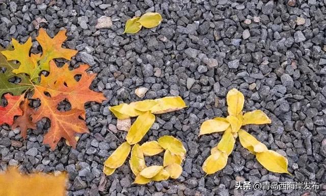 走不出这画了，我已被西海岸的秋景迷倒 🥹