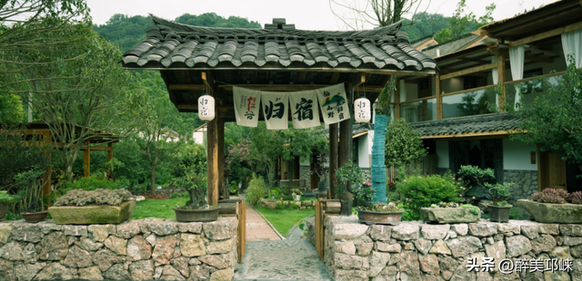 天台后山·山野萤光音乐季活动即将启幕，邀你共赴一场美好的旅程