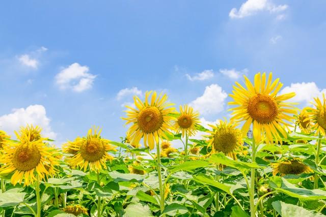 几句话让你走出阴霾