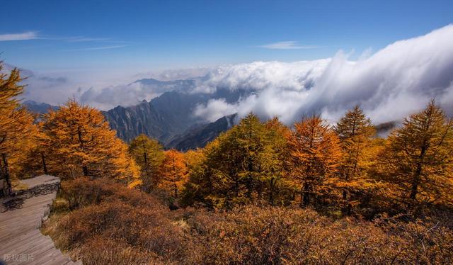 10月下旬-11月中旬，适合去的8个赏秋宝地，彩林繁茂，秋色正盛